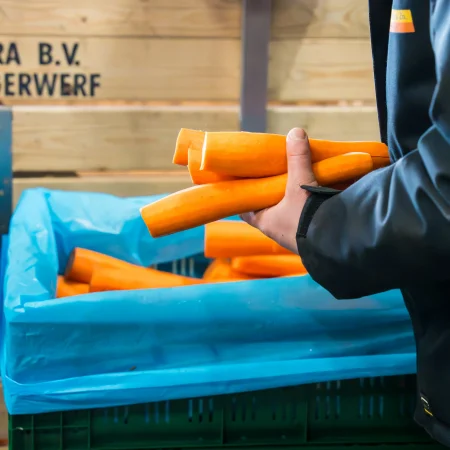 rustenburg opperdoes maten peen:wortelen 1